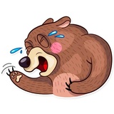 Honey Bear WhatsApp Sticker pack