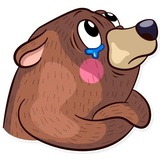 Honey Bear WhatsApp Sticker #23