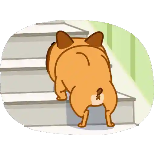 Sticker 24