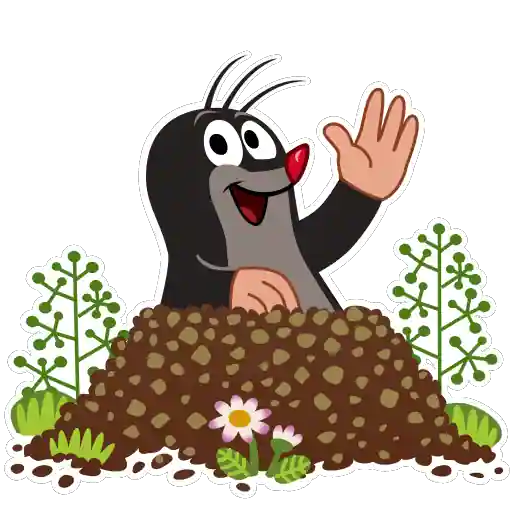 Sticker 5