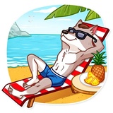 The Wolf of Wall Street WhatsApp Sticker #24