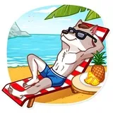 Sticker 24