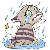 Katie Cat WhatsApp Sticker #10