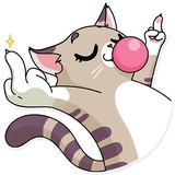Katie Cat WhatsApp Sticker #12