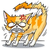 Katie Cat WhatsApp Sticker #17