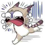 Katie Cat WhatsApp Sticker #3