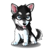 Tobbi Husky WhatsApp Sticker pack