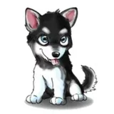 Tobbi Husky
