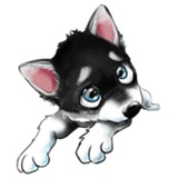 Tobbi Husky WhatsApp Sticker #12