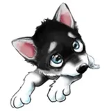 Sticker 12