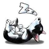Tobbi Husky WhatsApp Sticker #13