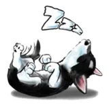 Sticker 13