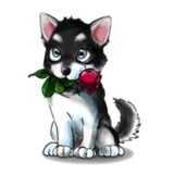 Tobbi Husky WhatsApp Sticker #14