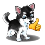 Tobbi Husky WhatsApp Sticker #2