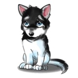 Tobbi Husky WhatsApp Sticker #4