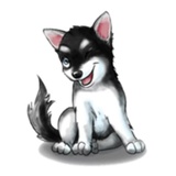 Tobbi Husky WhatsApp Sticker #5