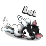 Tobbi Husky WhatsApp Sticker #7