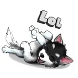 Sticker 7