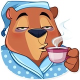Todd Bear WhatsApp Sticker #9