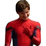 Tom Holland Funny WhatsApp Sticker #30