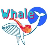 TradingView Stickers WhatsApp Sticker #30