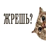 Sticker 11