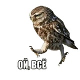 Troll.uz family WhatsApp Sticker #12