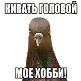 Troll.uz family WhatsApp Sticker #4