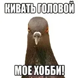 Sticker 4