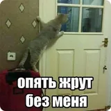 Sticker 48
