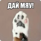 Sticker 49