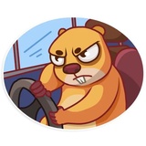 Troy Beaver WhatsApp Sticker #20