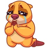 Troy Beaver WhatsApp Sticker #29