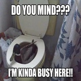 Fun & Joke WhatsApp Sticker #17