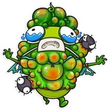 The Vegan Six WhatsApp Sticker #21