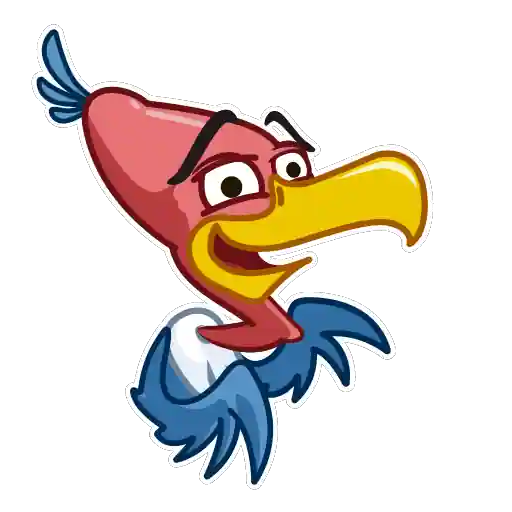 Vulture Bird