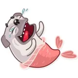 Water Pug