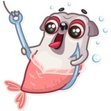 Water Pug WhatsApp Sticker #10