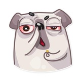Water Pug WhatsApp Sticker #11
