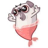 Water Pug WhatsApp Sticker #13