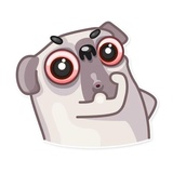 Water Pug WhatsApp Sticker #15