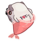 Water Pug WhatsApp Sticker #16