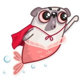 Water Pug WhatsApp Sticker #17