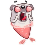 Water Pug WhatsApp Sticker #19