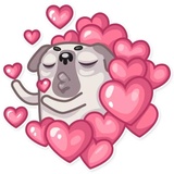 Water Pug WhatsApp Sticker #2