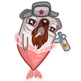 Water Pug WhatsApp Sticker #22