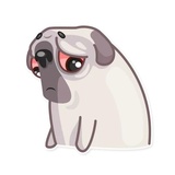 Water Pug WhatsApp Sticker #24