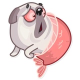 Water Pug WhatsApp Sticker #25