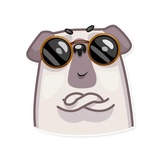 Water Pug WhatsApp Sticker #28