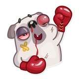 Water Pug WhatsApp Sticker #29